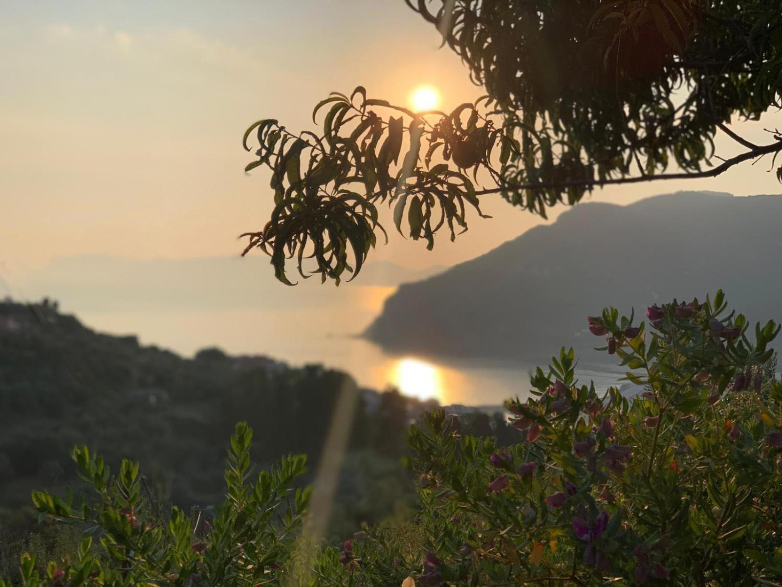 Romantic Lemonia Cottage Skopelos Town Ngoại thất bức ảnh